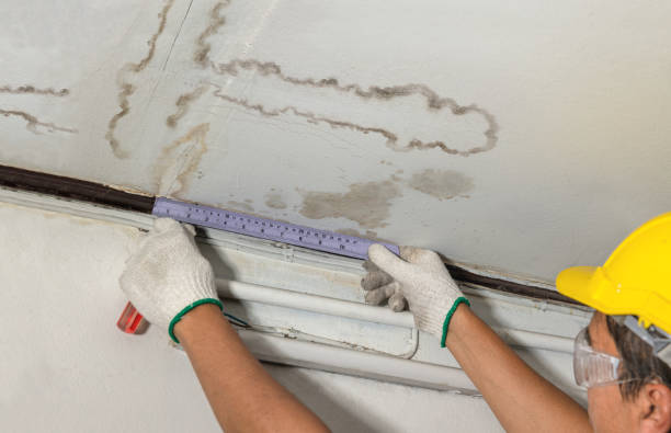 Affordable Water Damage Repair solutions in Fairmount, IN
